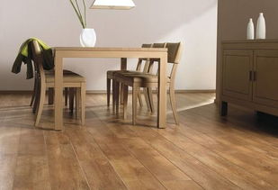 最新實木地板品牌排行榜 為您精選網(wǎng)友最愛的木地板