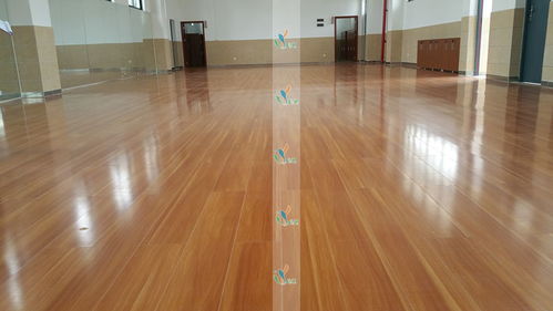 立美建材 為舞蹈室度身定制專業木地板與塑膠地板解決方案