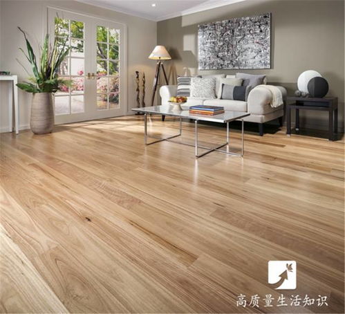 木地板、瓷磚還是塑膠地板？選對不后悔，家裝必看指南
